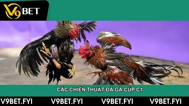 Bên cạnh các bài tập cơ bản thì hãy tập trung vào những đòn đá độc đáo